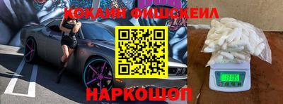 прущие грибы Кандалакша