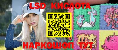 прущие грибы Кандалакша