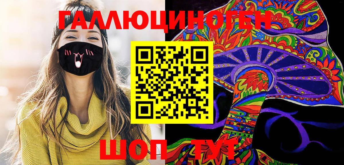 Галлюциногенные грибы Psilocybe Кимовск