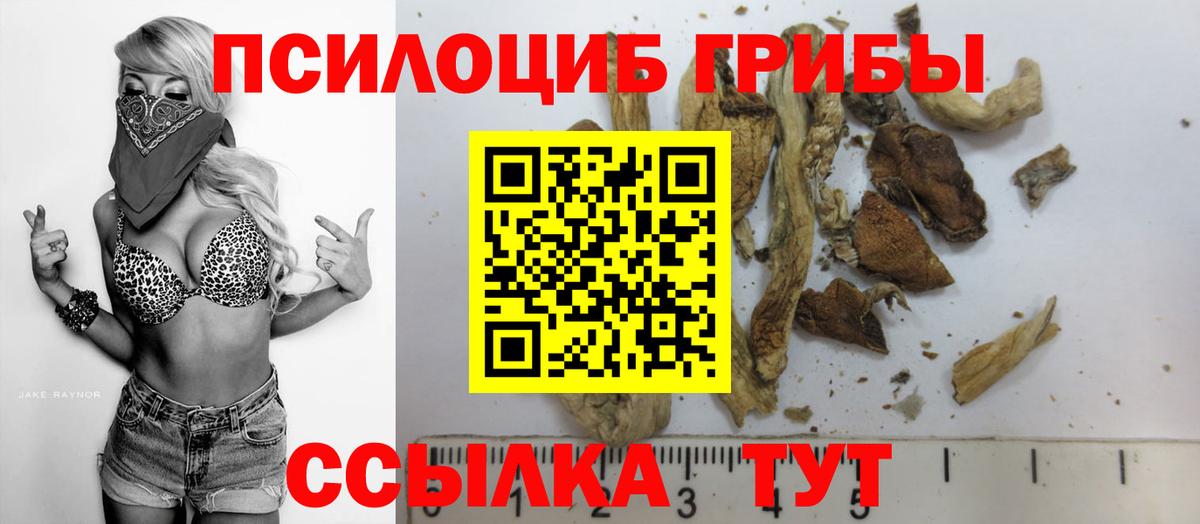 Кимовск  наркошоп  Вход с VPN  Псилоцибиновые грибы Psilocybine cubensis 